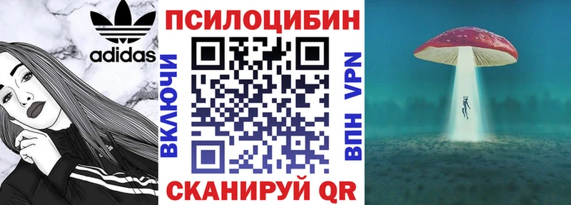 OMG рабочий сайт  как найти   Троицк  Галлюциногенные грибы Psilocybine cubensis 