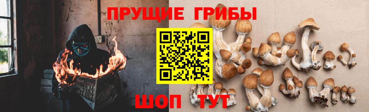 Троицк  купить наркотики цена  Вход с VPN  Галлюциногенные грибы мухоморы 